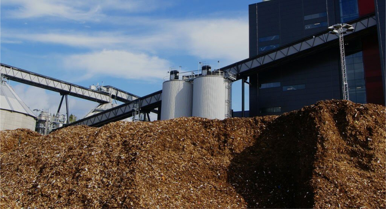 LDX-Solutions-Has-Extensive-Biomass